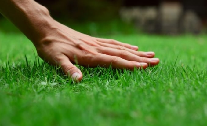 Hand On Grass