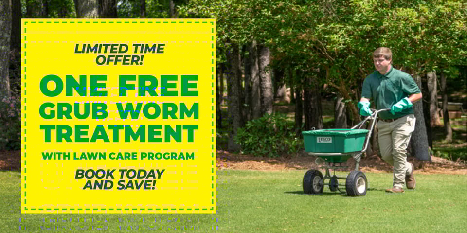 Digital_Offer_LP_Grub