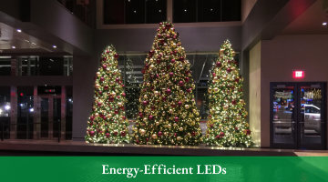 Energy Efficient LEDs Senske Services