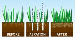 Liquid Aeration Process