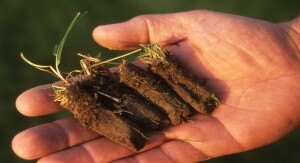 Aeration Plugs