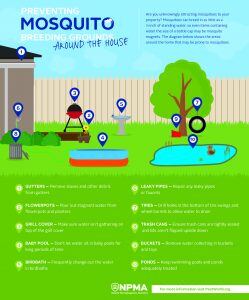 NPMA_mosquito-breeding-infographic