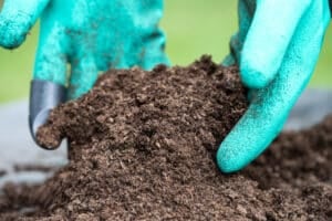 Hand holding peat moss organic matter improve soil for agriculture organic plant growing, ecology concept.
