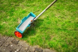 Lawn seeding machine