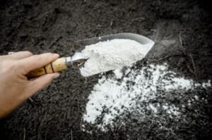 lawn lime treatment for soil pH
