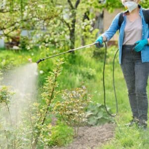 pest control spray in backyard for mosquito control