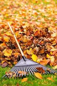 Raking Leaves