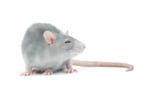 shutterstock_236839777