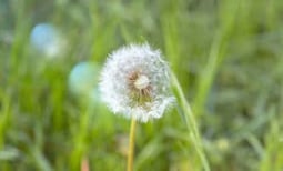 shutterstock_317135036