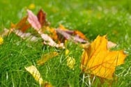 shutterstock_62638759