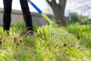 Raking up yard debris for spring