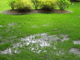 standing water