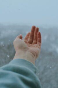 winter lawn care preparation