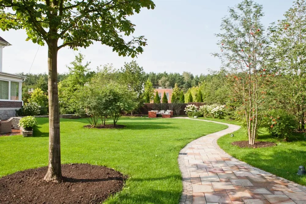 Tree Path