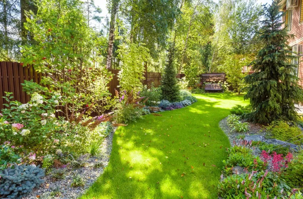 Tree Yard
