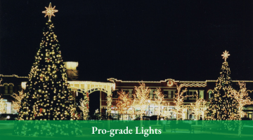 Pro Lights Senske Services
