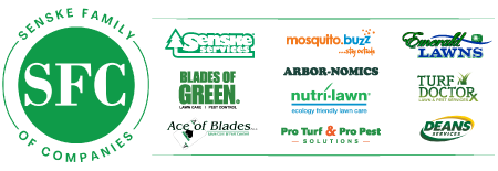 SFC-Email-Signature-10.25