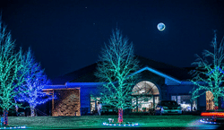 gI_153566_kenn_branch