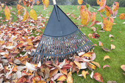 rake