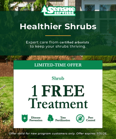 Shrub_Ad_480x576