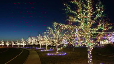 holiday-lights