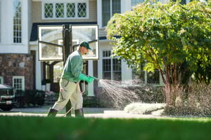 senske lawn care and pest control in lake stevens