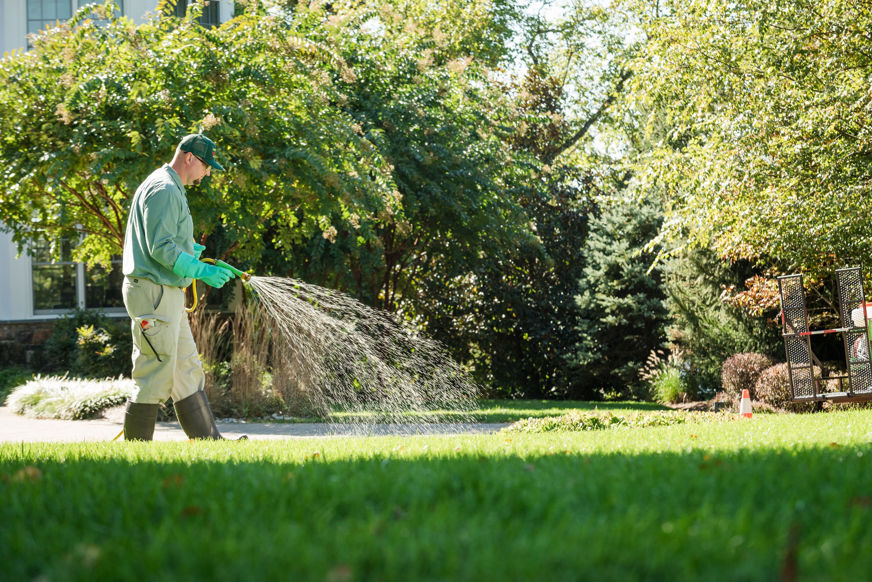 senske lawn disease ex