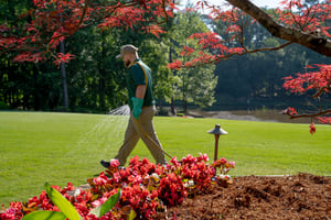 senske technician spraying for moles in yard