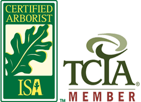 senske-ISA-certified-arborist-and-TCIA-member (1)