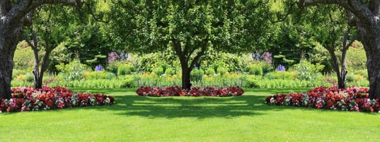 shrub-bed-weed-control-1280x480