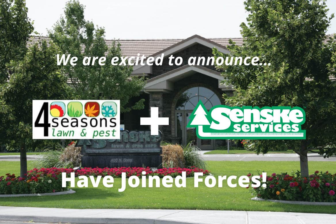 4seasons-senske 4seasons-senske