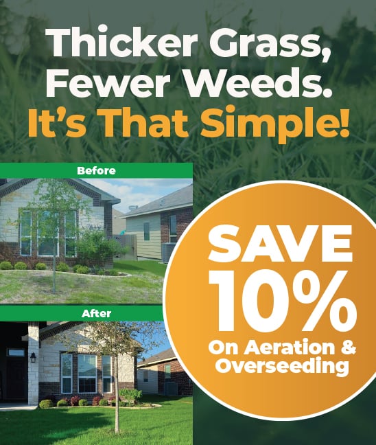 Aeration Overseeding Offer 2026