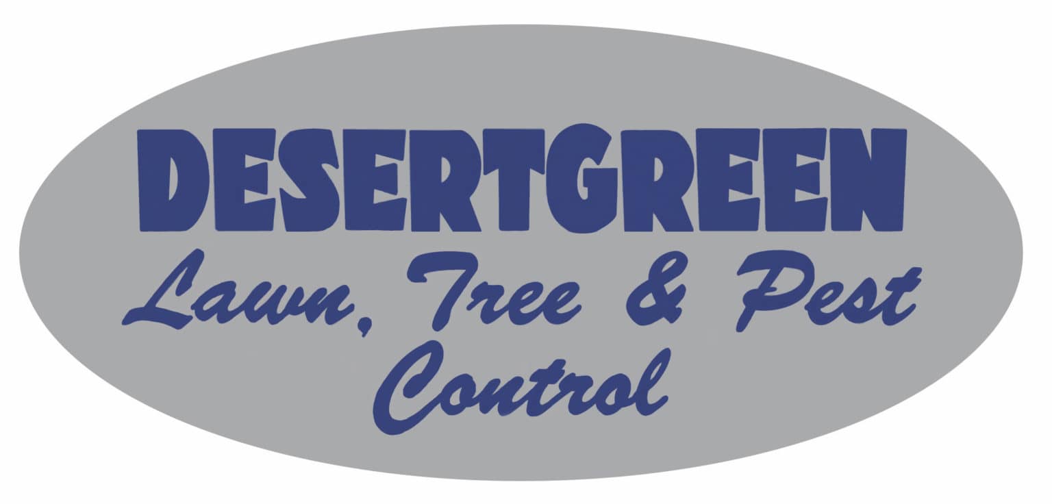 DesertGreen_cleanedup-1536x736 DesertGreen_cleanedup-1536x736