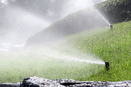 sprinkler