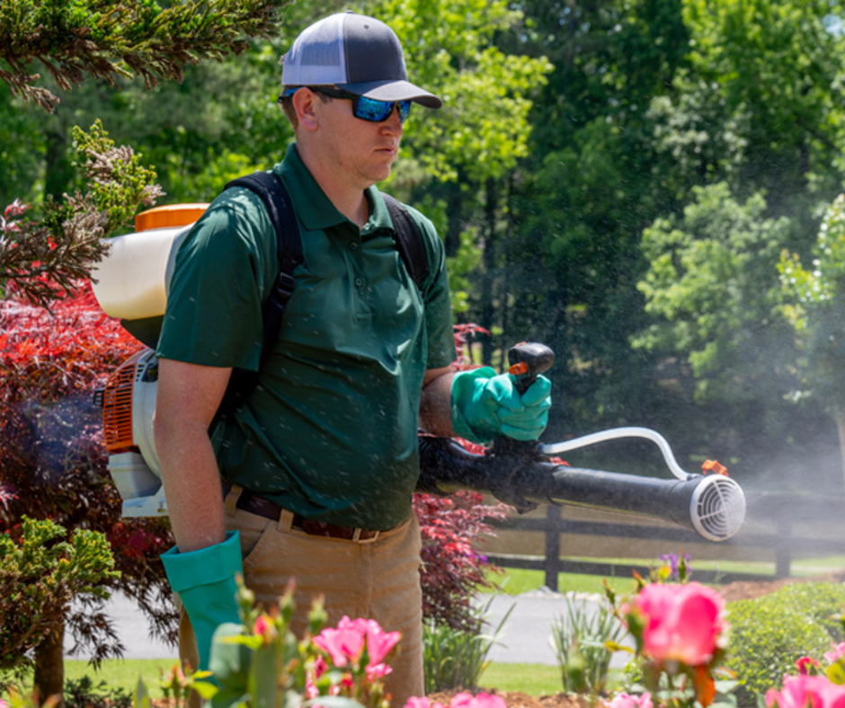 Mosquito Treatments