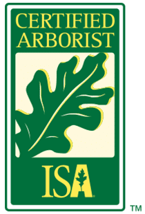 Senske-ISA-certified-arborist