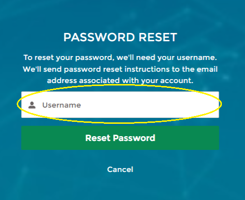 Email showing username for password reset