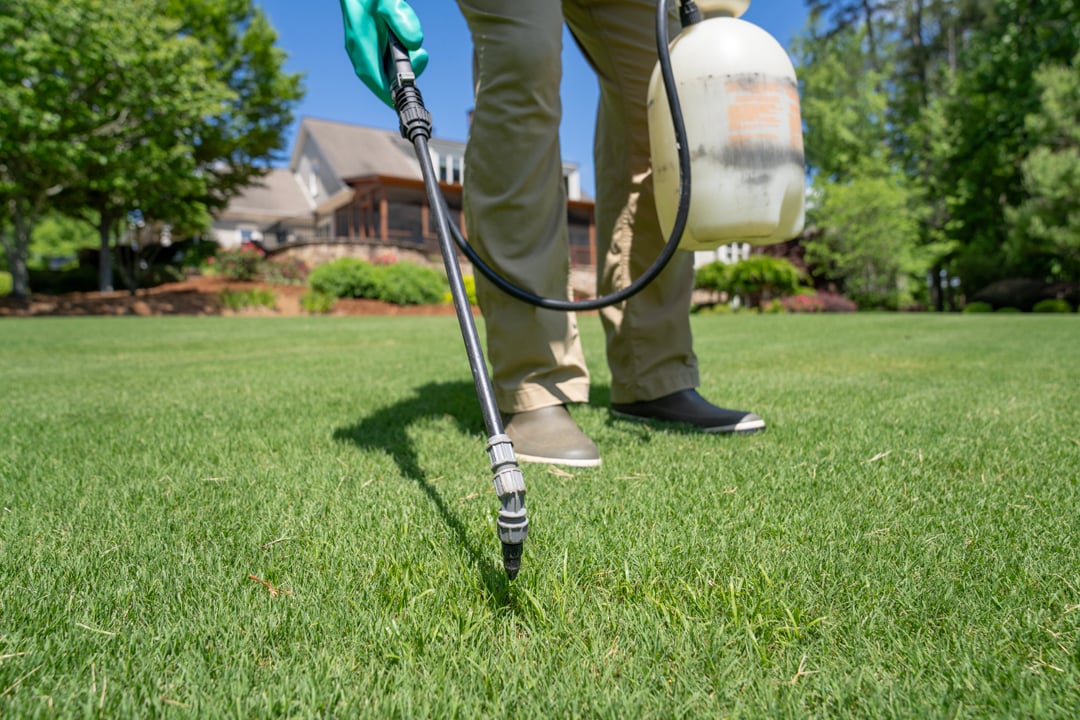 turf doctor oakland tech spraying lawn with grub control turf doctor oakland tech spraying lawn with grub control