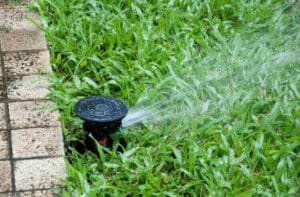 Sprinkler System By Curb