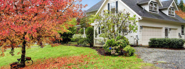 house yard with fall leaves on lawn