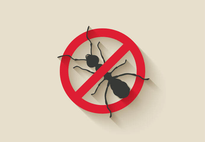graphic of ant with red cross out