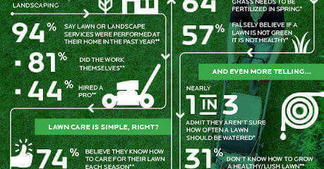 lawn care facts