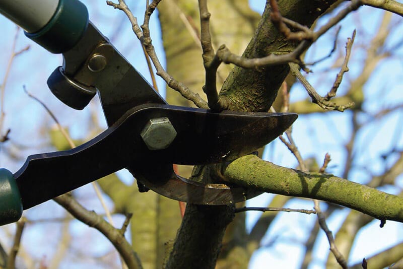 Pruning for Safety