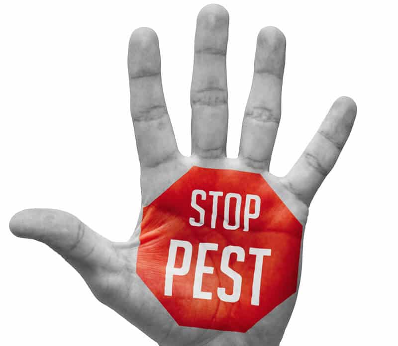 National Pest Awareness Month