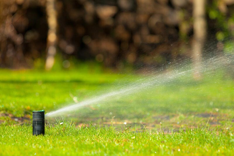 Watering Guide for Your Lawn