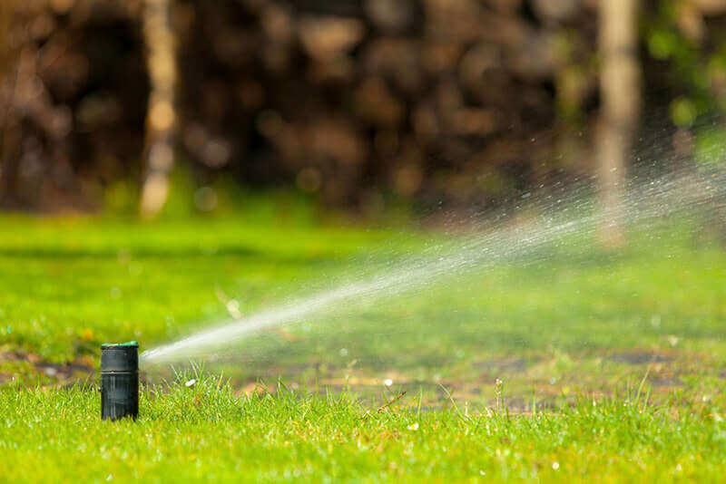Senske Services Releases It’s Spring and Summer Watering Tips
