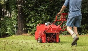 aerating your lawn