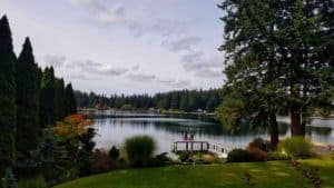 Everett lawn care and tree service around picturesque lake
