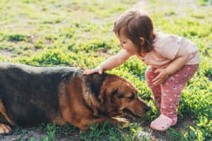 Caucasian baby girl stroking his purebred dog, while they went outside in the open air. Healthy active lifestyle. Activity relationship.