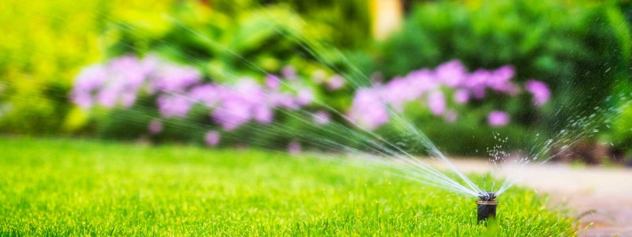 lawn watering guide senske sprinkler services grass tips
